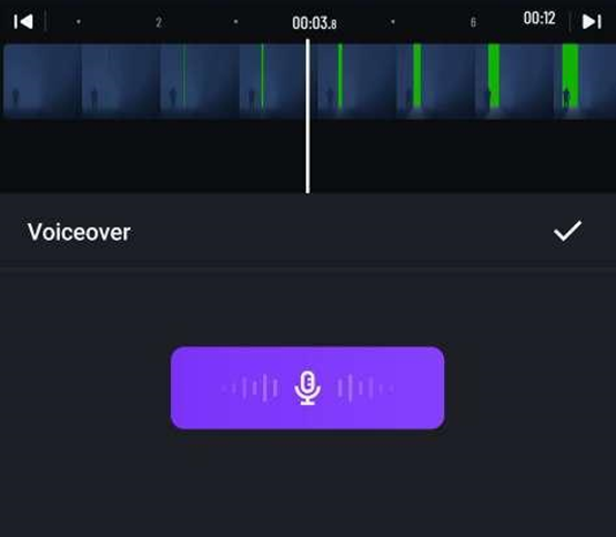 add voiceover to video
