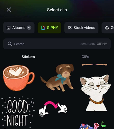 stock videos free Giphy