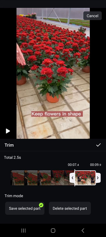 promote business video with Free video editor on Android