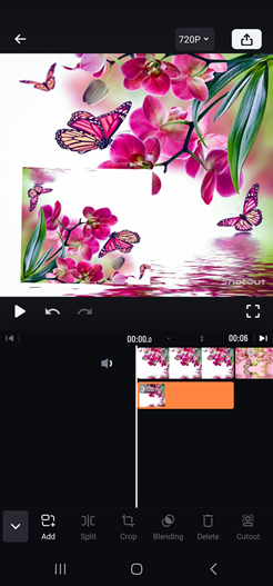 Picture-in-Picture Brilliance: Create Picture Overlay in Video for Free