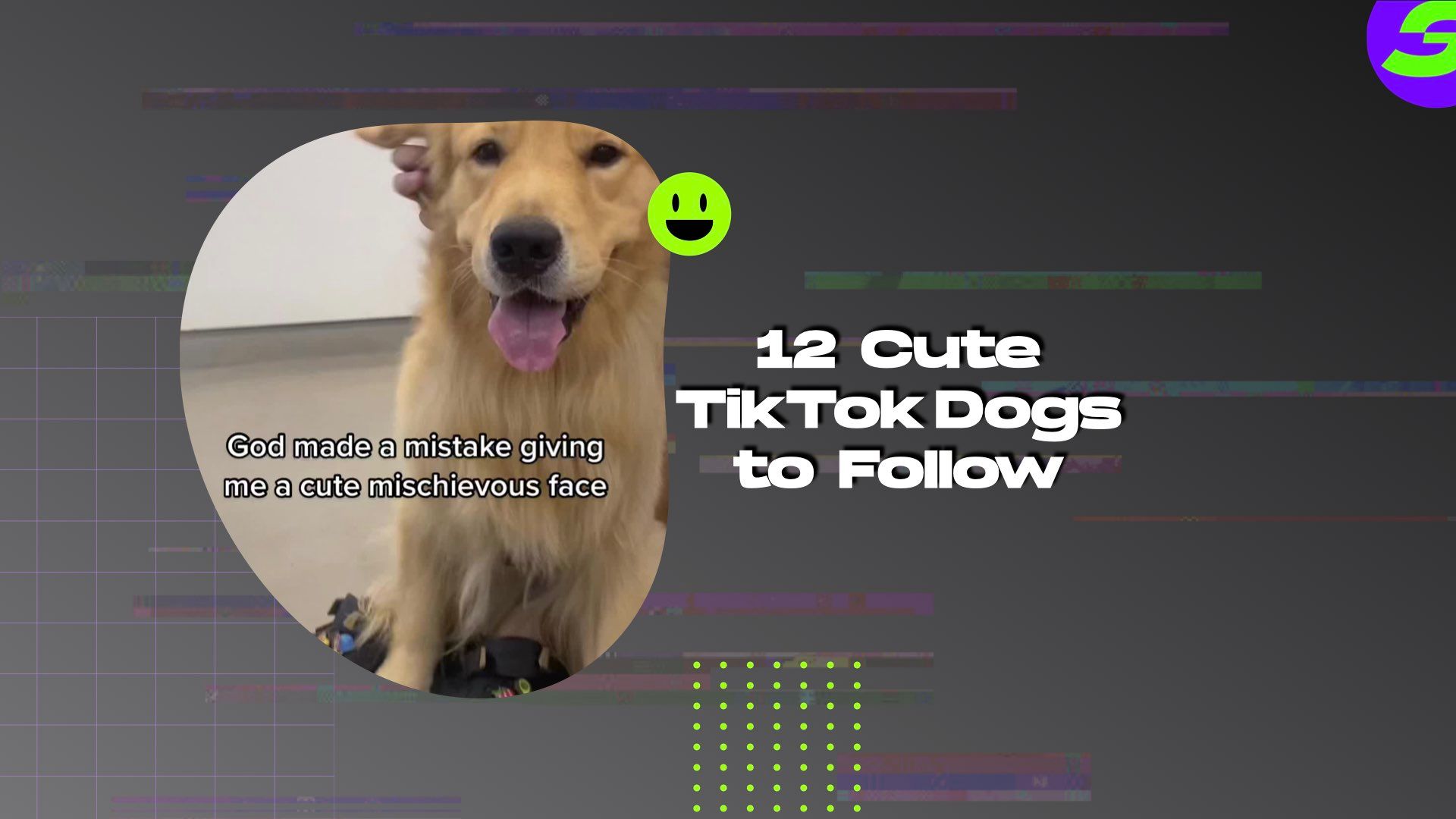 shotcut free video editor android 12 Cute TikTok Dogs to Follow