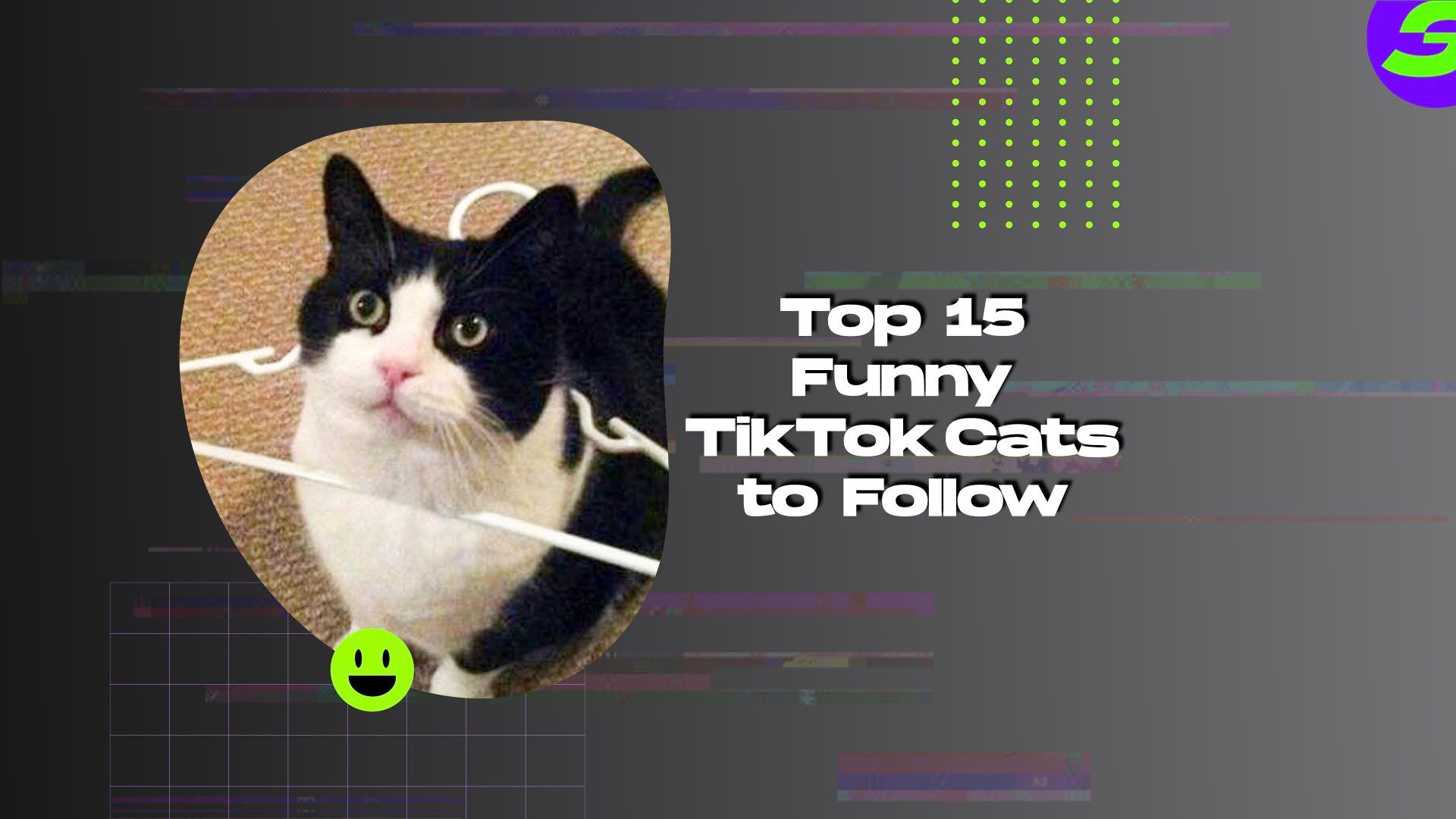 shotcut free video editor android Top 15 Funny TikTok Cats
