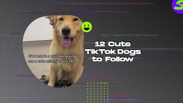 shotcut free video editor android 12 Cute TikTok Dogs to Follow