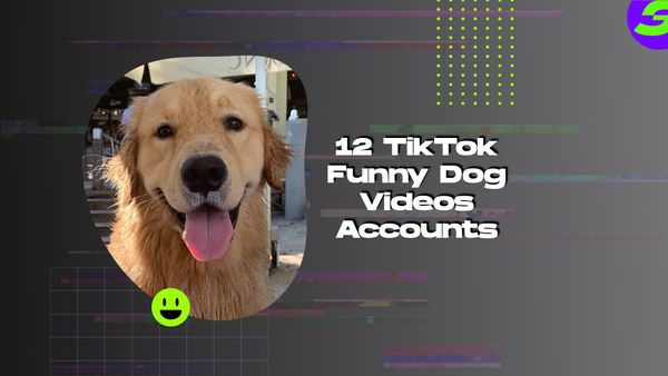shotcut free video editor android 12 TikTok Funny Dog Videos Accounts
